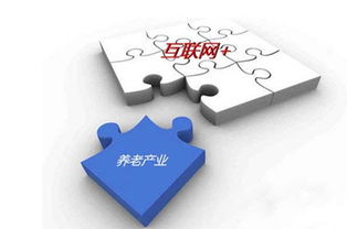 打造沒有圍墻的養老院 互聯網技術如何重塑養老服務